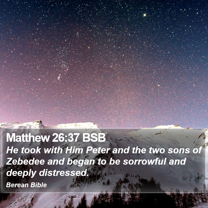 Matthew 26:37 BSB Bible Study