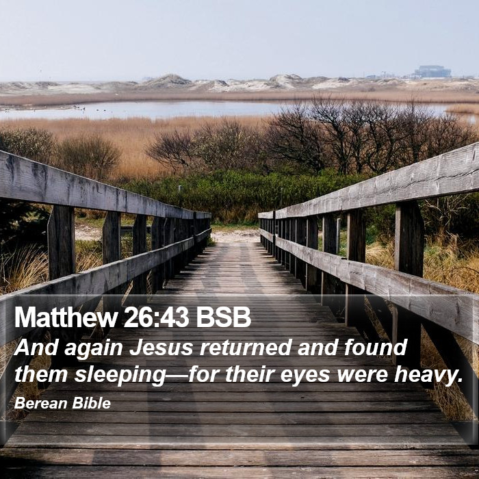 Matthew 26:43 BSB Bible Study