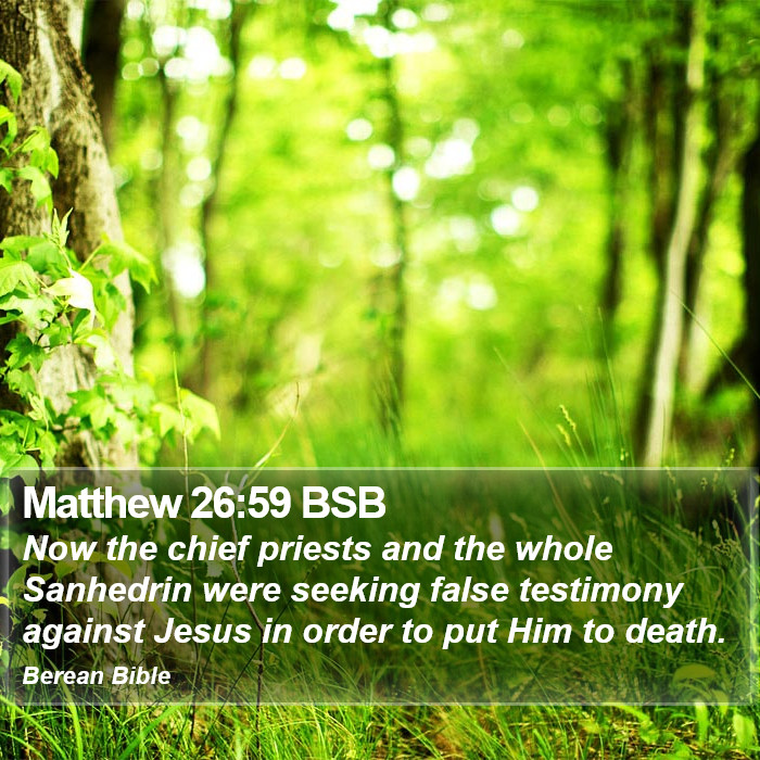 Matthew 26:59 BSB Bible Study