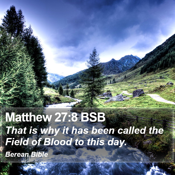 Matthew 27:8 BSB Bible Study