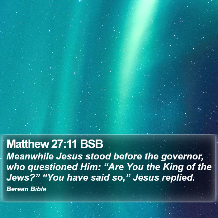 Matthew 27:11 BSB Bible Study