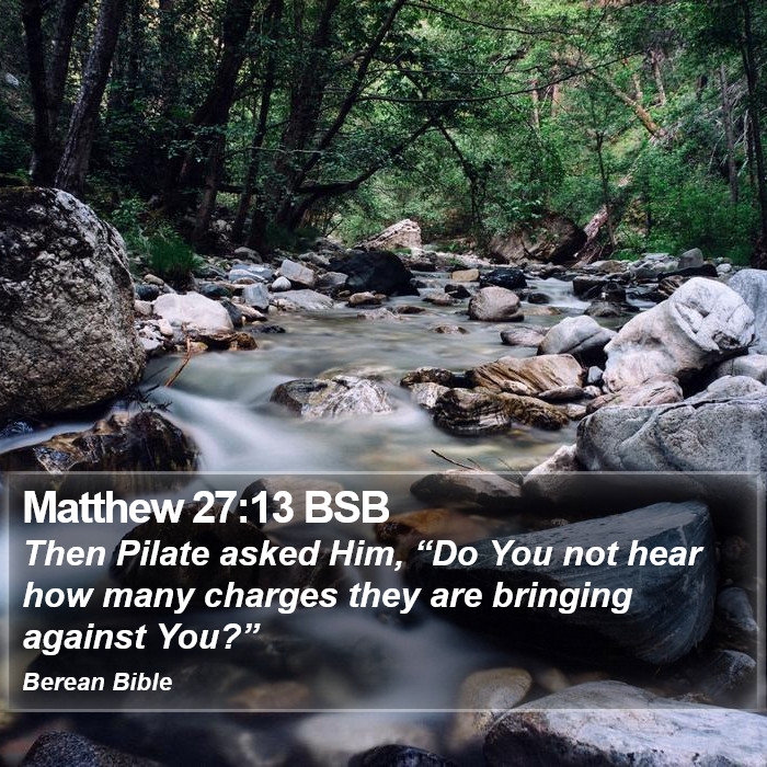 Matthew 27:13 BSB Bible Study