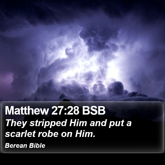 Matthew 27:28 BSB Bible Study