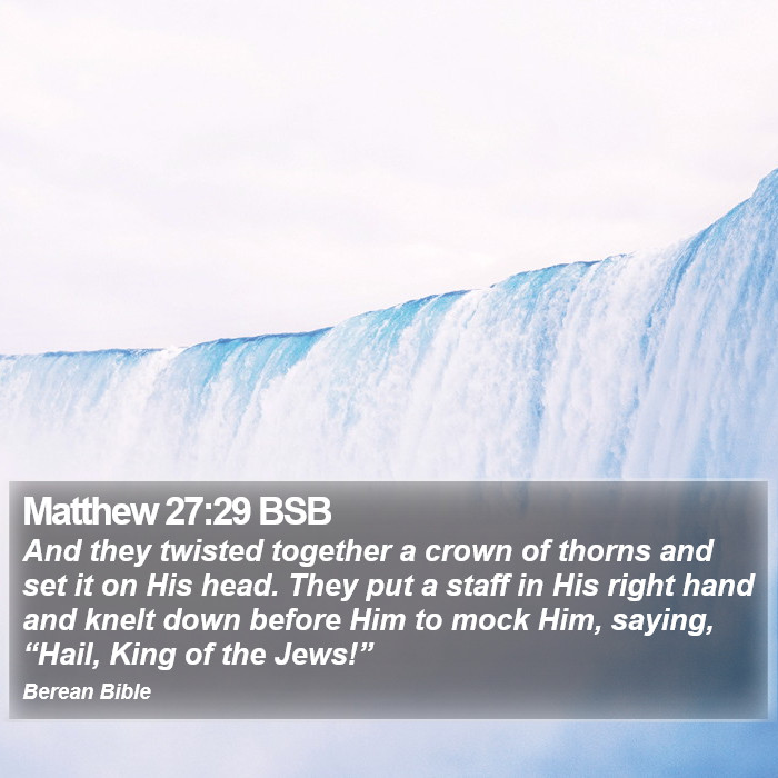 Matthew 27:29 BSB Bible Study