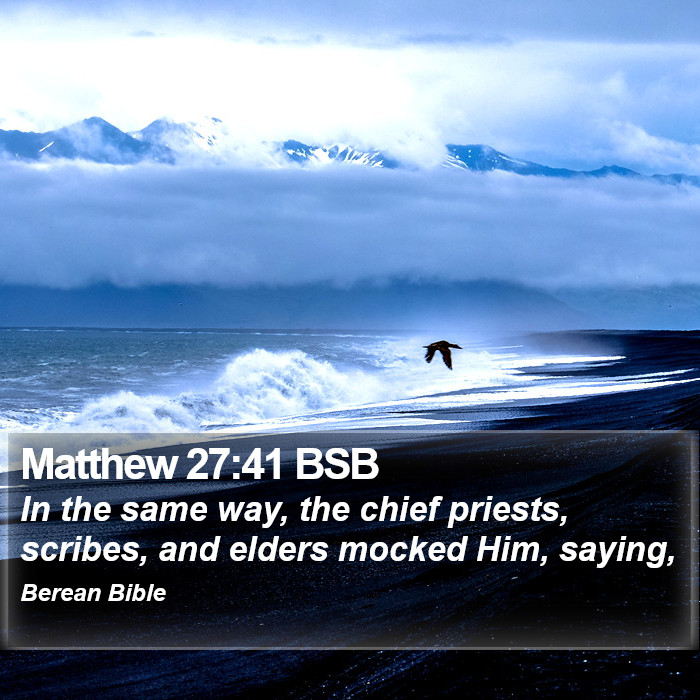 Matthew 27:41 BSB Bible Study