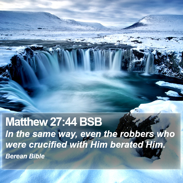 Matthew 27:44 BSB Bible Study