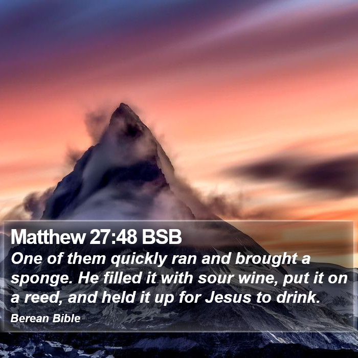 Matthew 27:48 BSB Bible Study