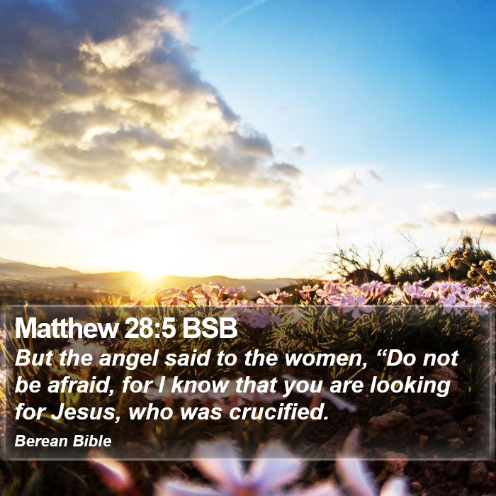 Matthew 28:5 BSB Bible Study