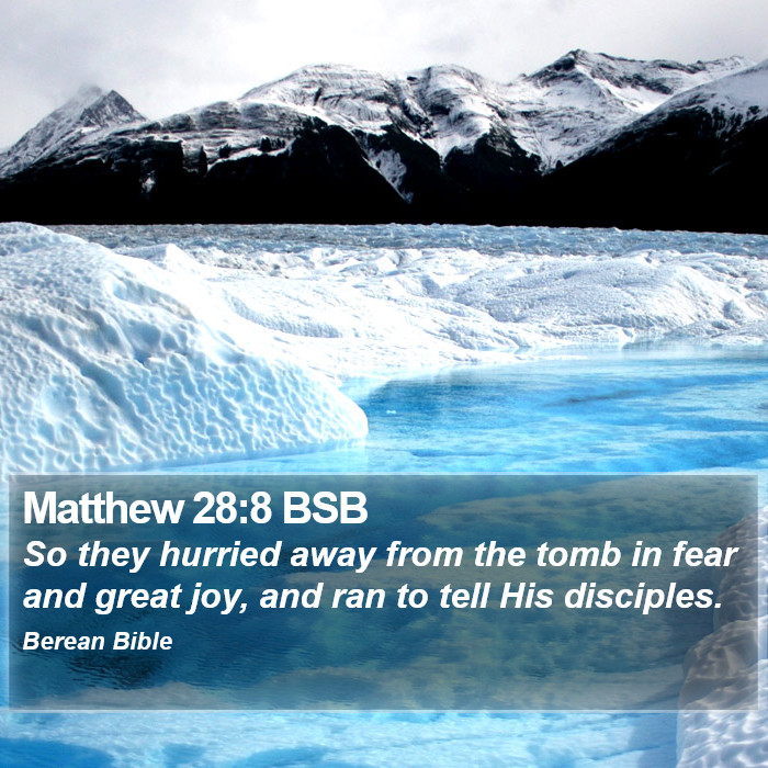 Matthew 28:8 BSB Bible Study