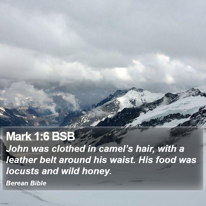 Mark 1:6 BSB Bible Study