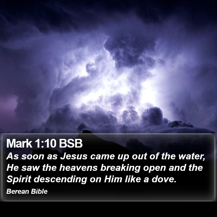 Mark 1:10 BSB Bible Study