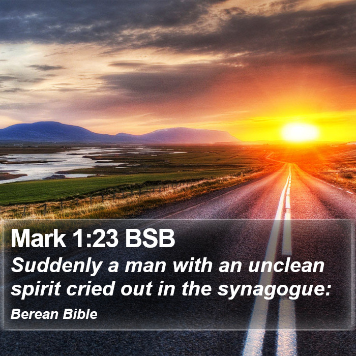 Mark 1:23 BSB Bible Study