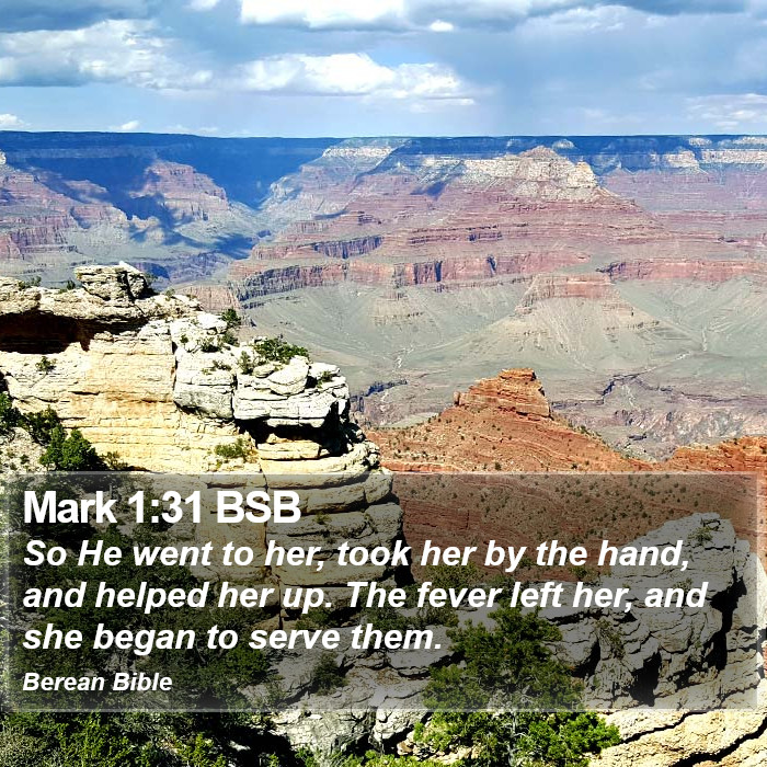 Mark 1:31 BSB Bible Study