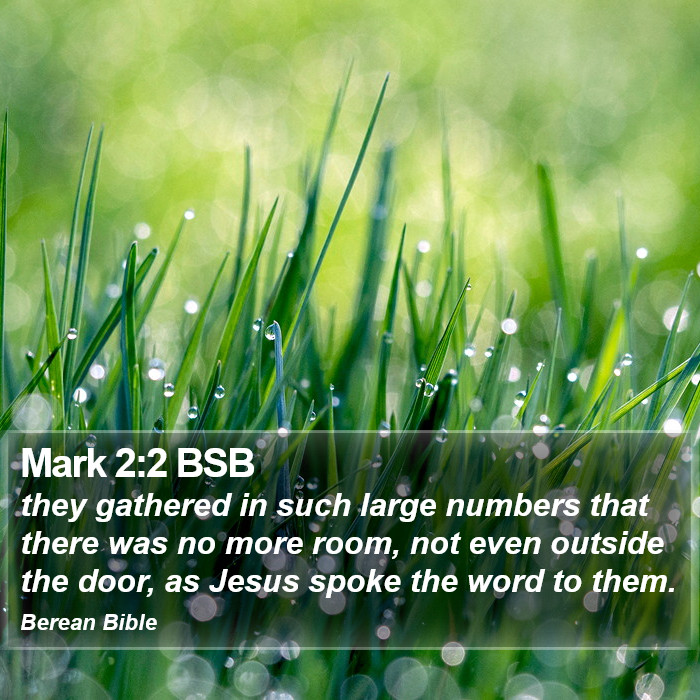 Mark 2:2 BSB Bible Study