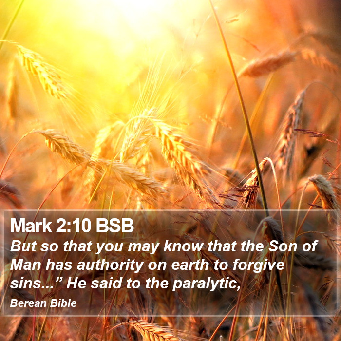 Mark 2:10 BSB Bible Study