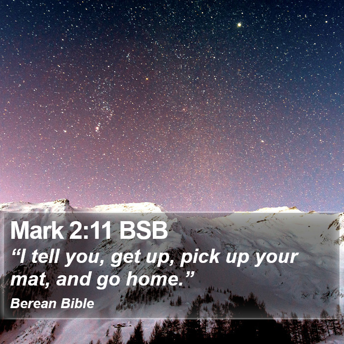 Mark 2:11 BSB Bible Study