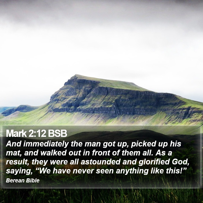 Mark 2:12 BSB Bible Study