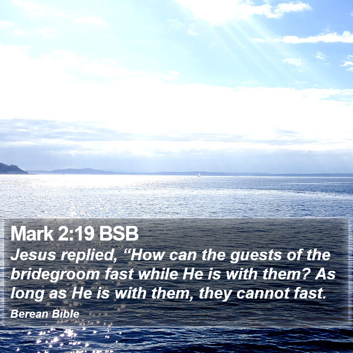 Mark 2:19 BSB Bible Study