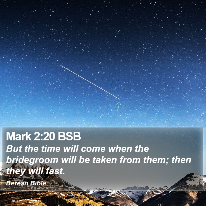 Mark 2:20 BSB Bible Study