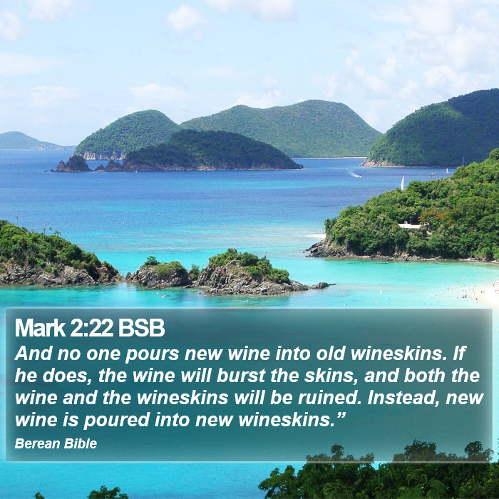 Mark 2:22 BSB Bible Study