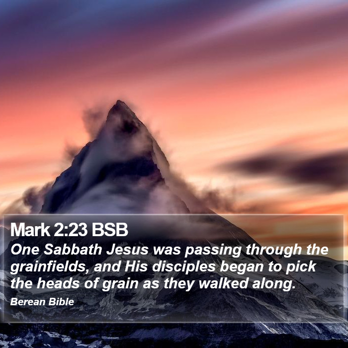 Mark 2:23 BSB Bible Study