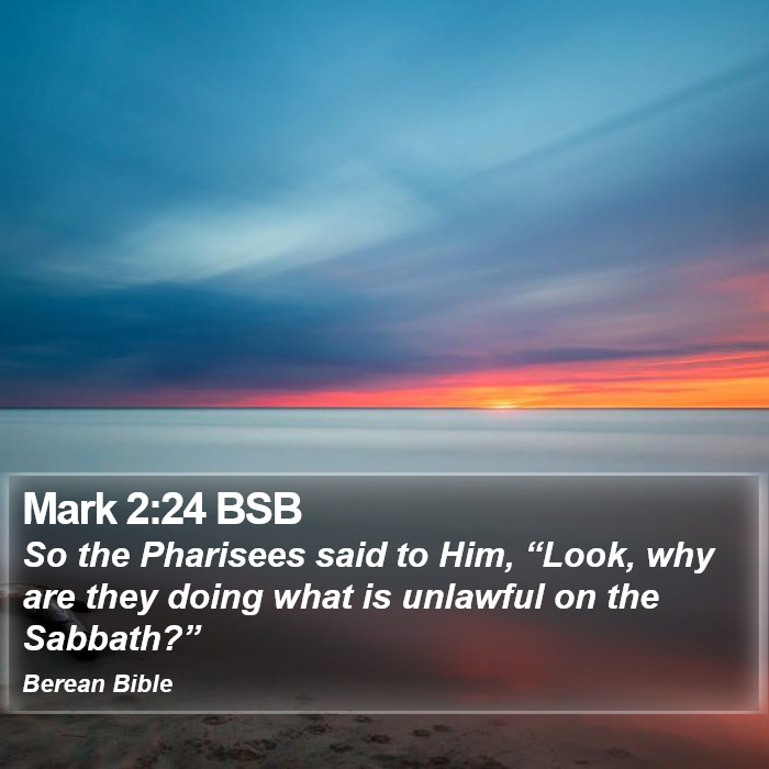 Mark 2:24 BSB Bible Study