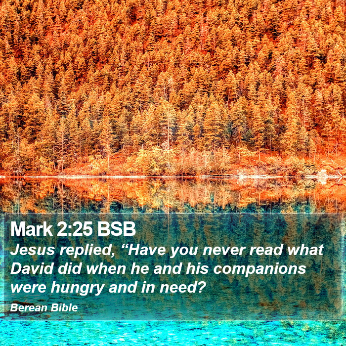 Mark 2:25 BSB Bible Study