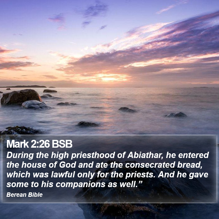 Mark 2:26 BSB Bible Study