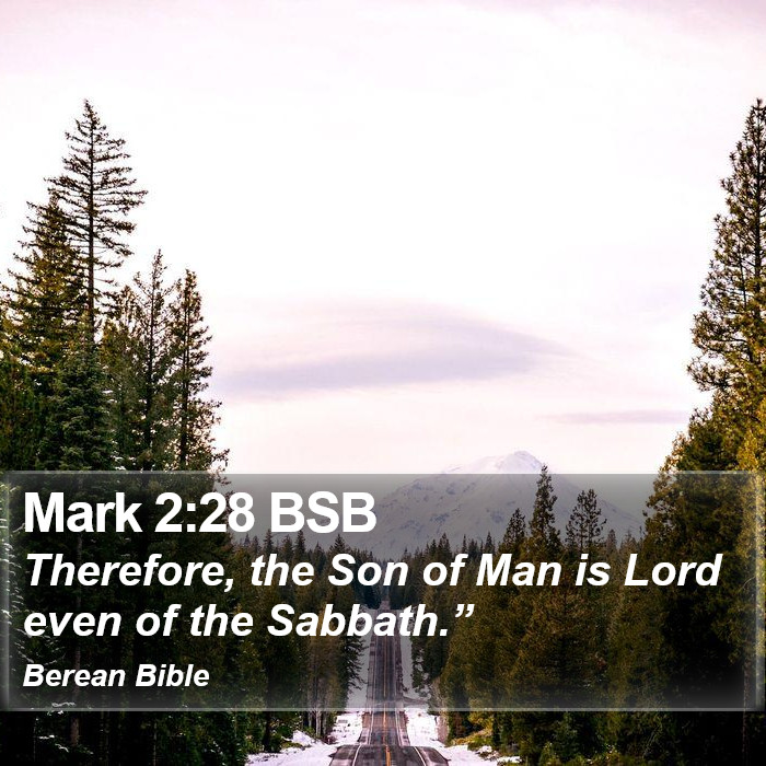 Mark 2:28 BSB Bible Study