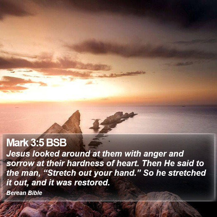 Mark 3:5 BSB Bible Study