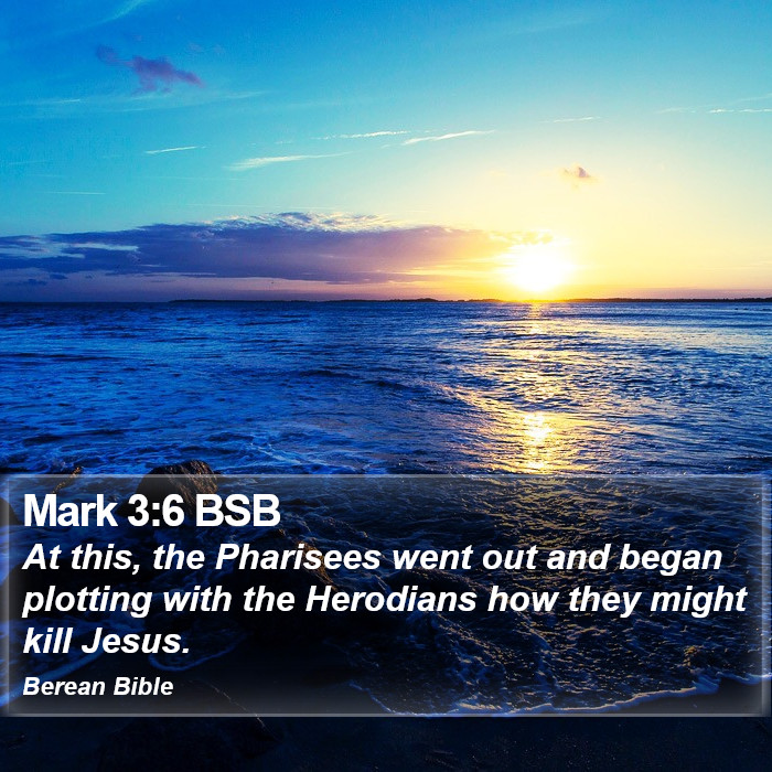 Mark 3:6 BSB Bible Study