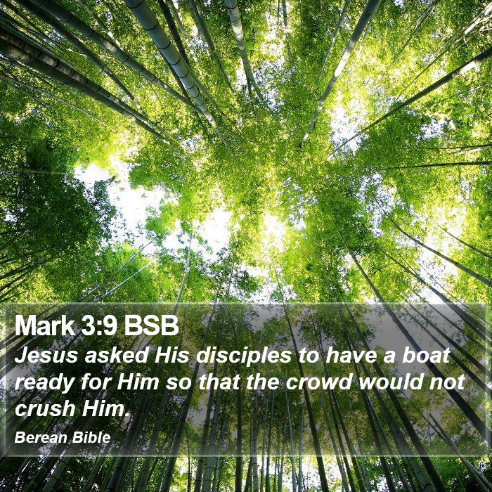 Mark 3:9 BSB Bible Study