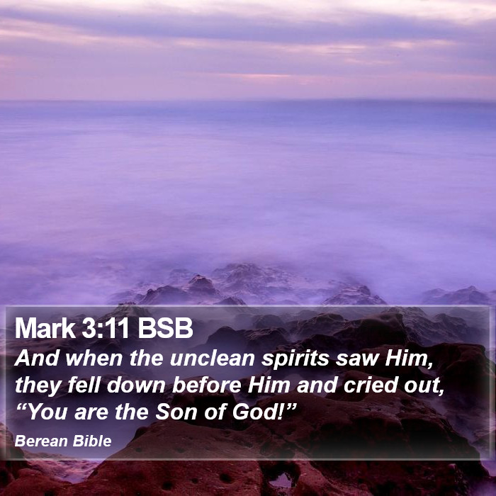 Mark 3:11 BSB Bible Study