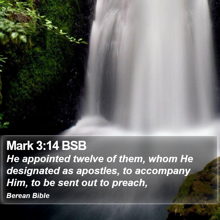 Mark 3:14 BSB Bible Study