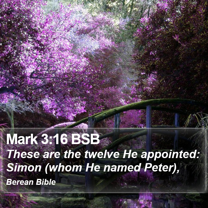 Mark 3:16 BSB Bible Study