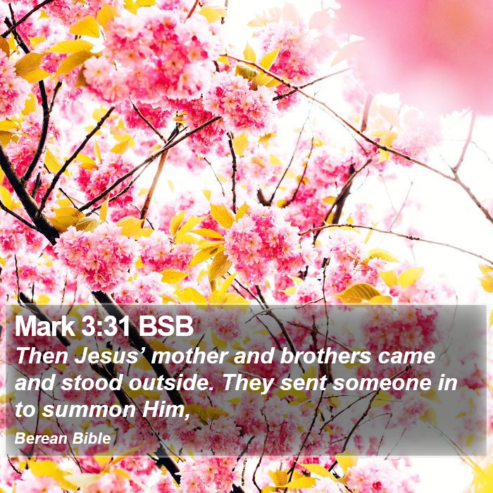 Mark 3:31 BSB Bible Study