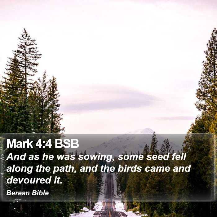 Mark 4:4 BSB Bible Study