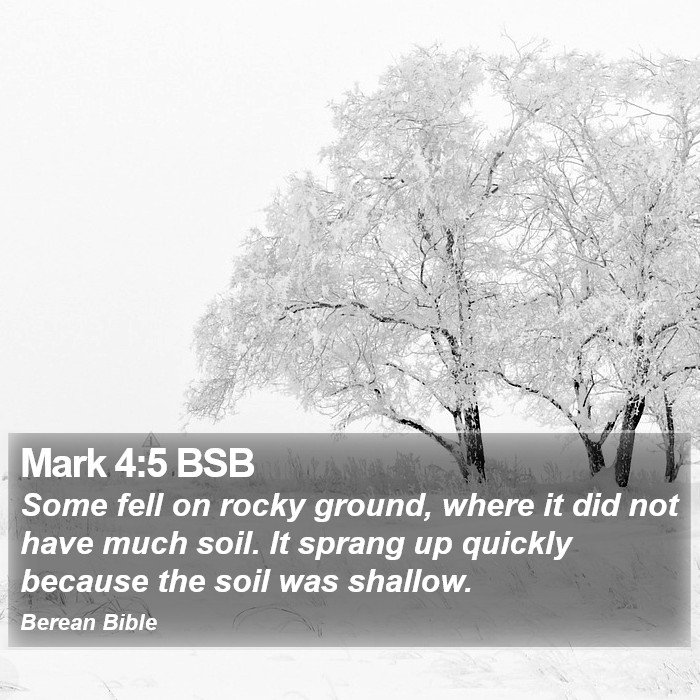 Mark 4:5 BSB Bible Study