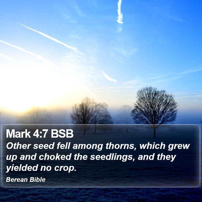 Mark 4:7 BSB Bible Study