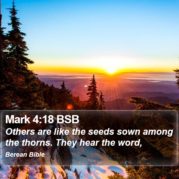 Mark 4:18 BSB Bible Study