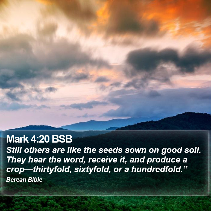 Mark 4:20 BSB Bible Study