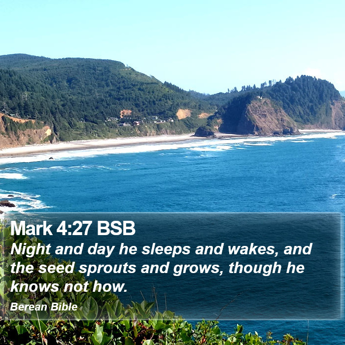 Mark 4:27 BSB Bible Study