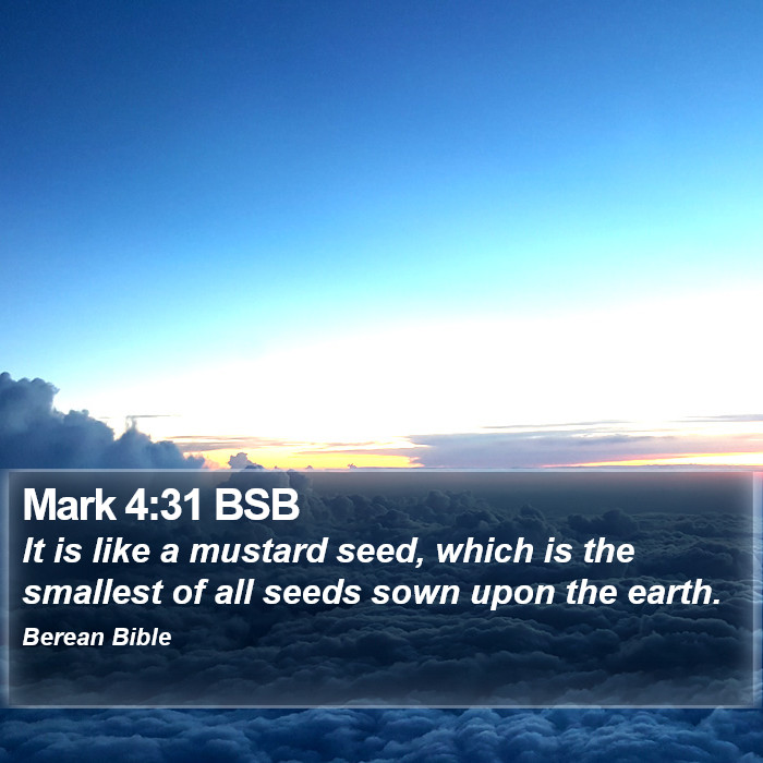 Mark 4:31 BSB Bible Study