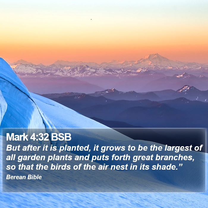 Mark 4:32 BSB Bible Study