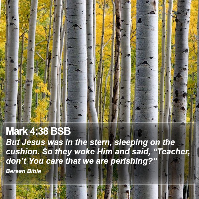 Mark 4:38 BSB Bible Study