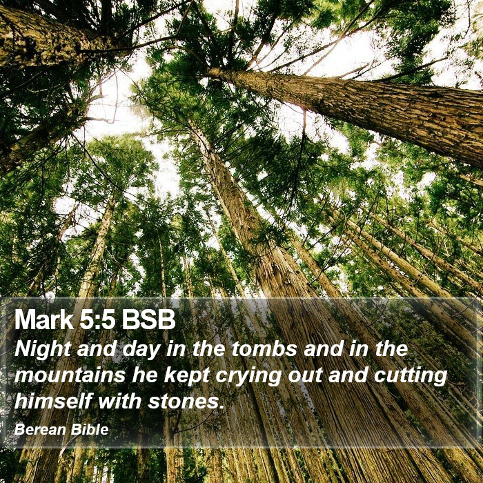 Mark 5:5 BSB Bible Study