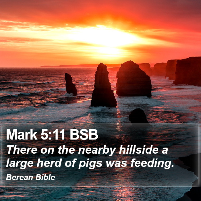 Mark 5:11 BSB Bible Study