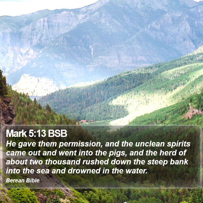 Mark 5:13 BSB Bible Study