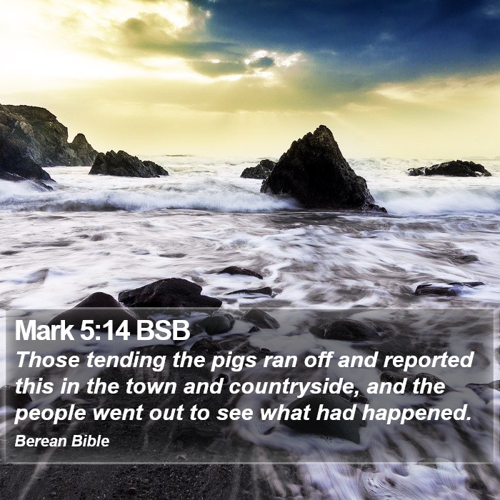 Mark 5:14 BSB Bible Study