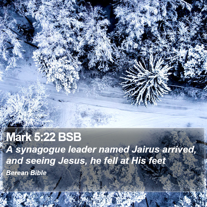 Mark 5:22 BSB Bible Study